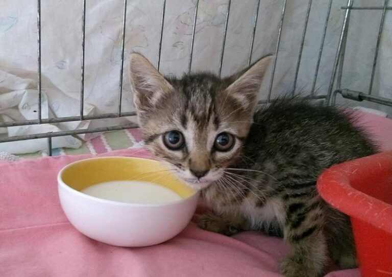 multimedia-foto60284-832-1