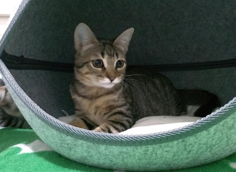 multimedia-foto60286-832-1