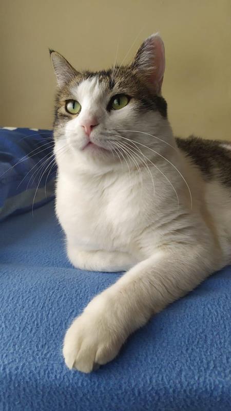 multimedia-foto60361-345-1