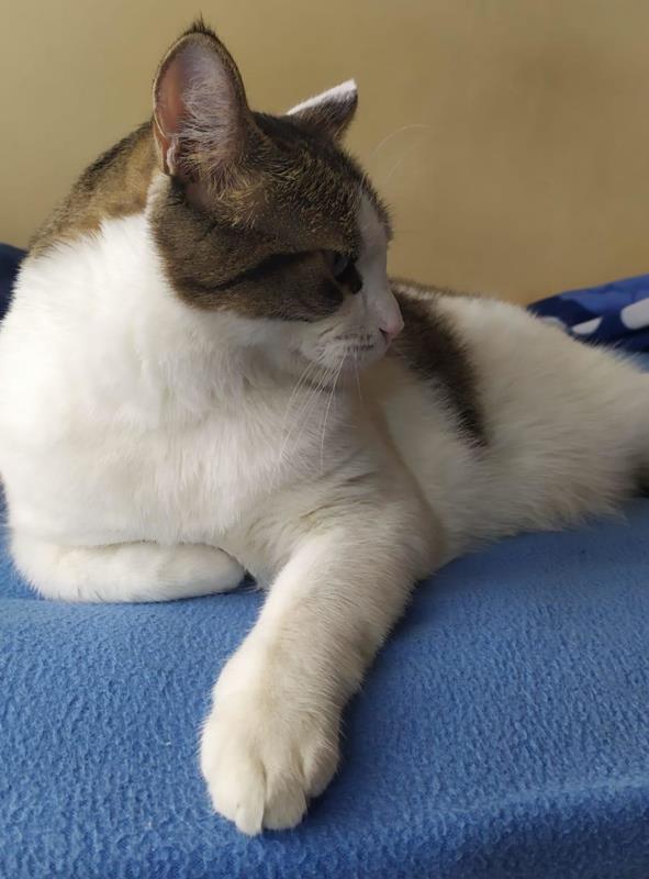 multimedia-foto60362-345-1