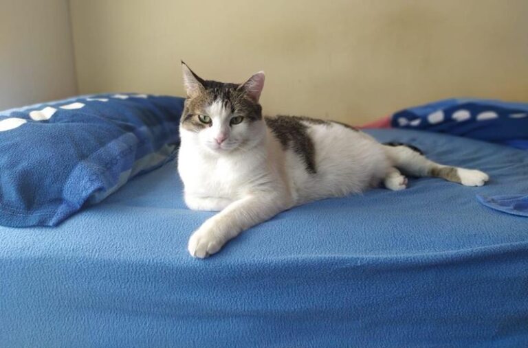 multimedia-foto60363-345-1