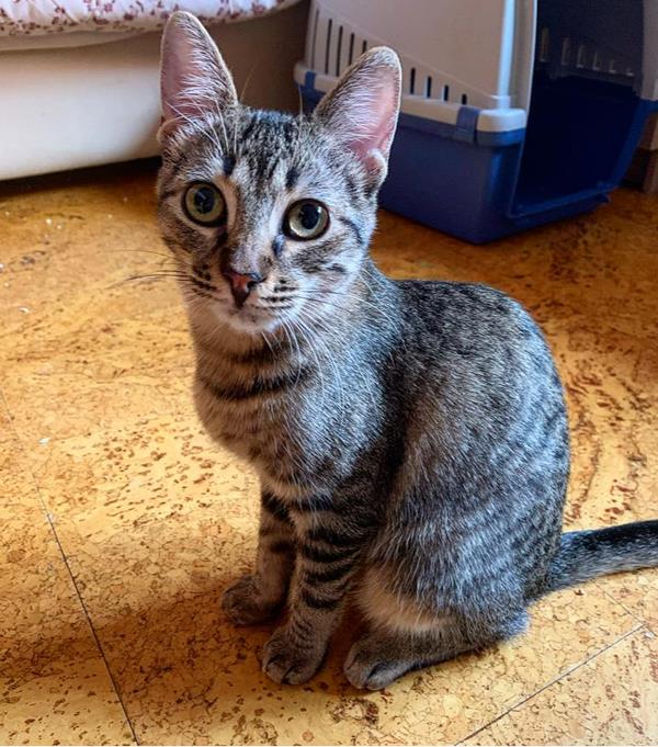 multimedia-foto60368-447-1