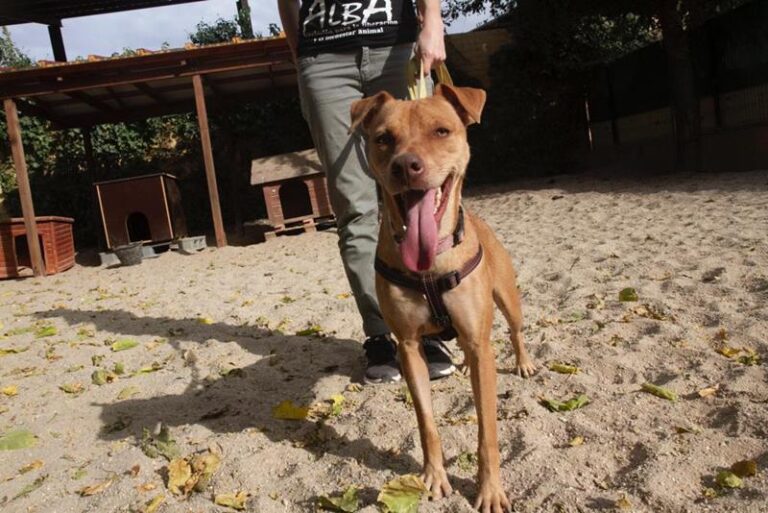 multimedia-foto60378-601-1