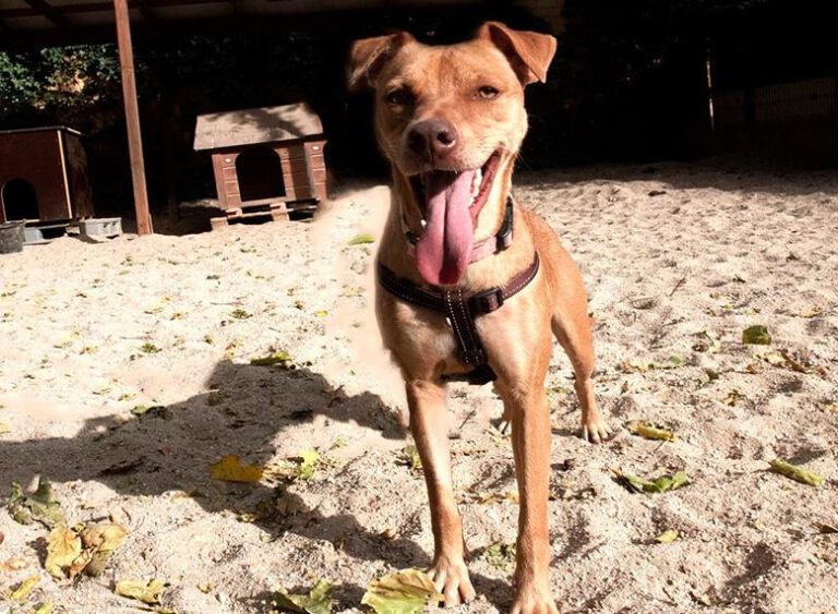 multimedia-foto60379-601-1