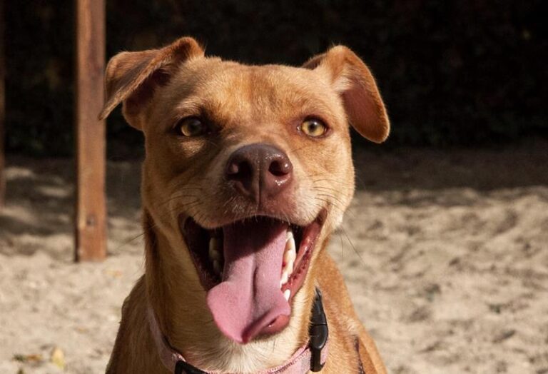 multimedia-foto60381-601-1