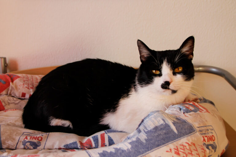 multimedia-foto60415-674-1