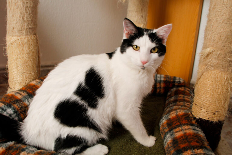 multimedia-foto60427-924-1