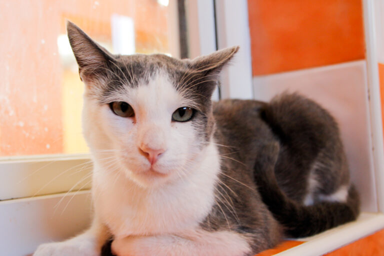 multimedia-foto60434-189-1