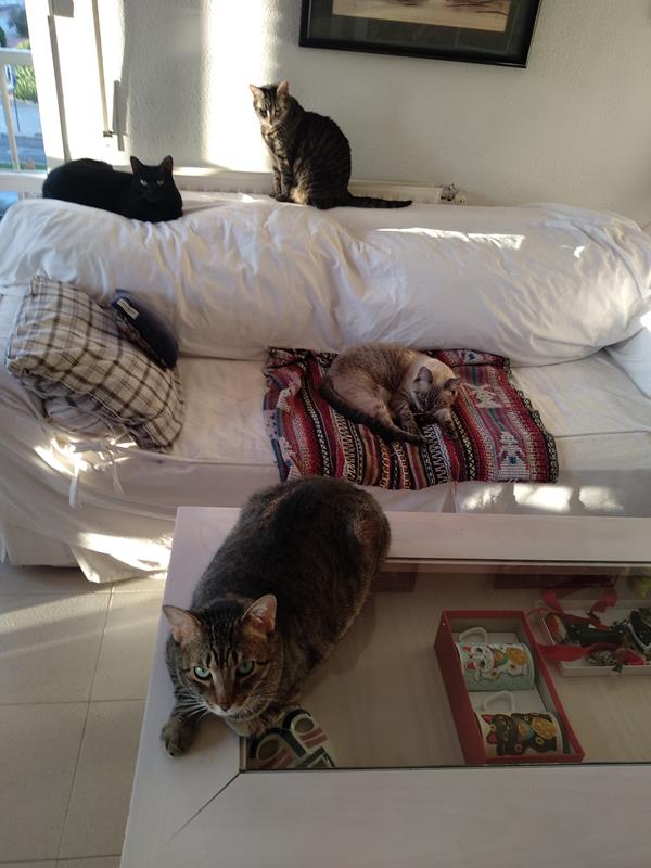 multimedia-foto60439-490-1