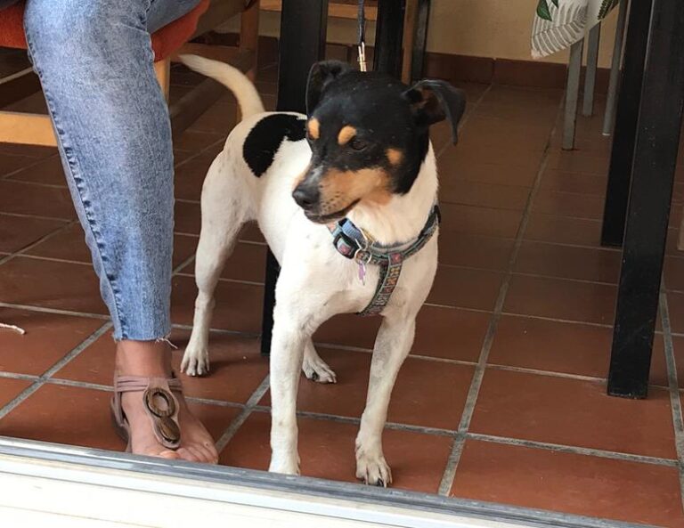 multimedia-foto60474-47-1