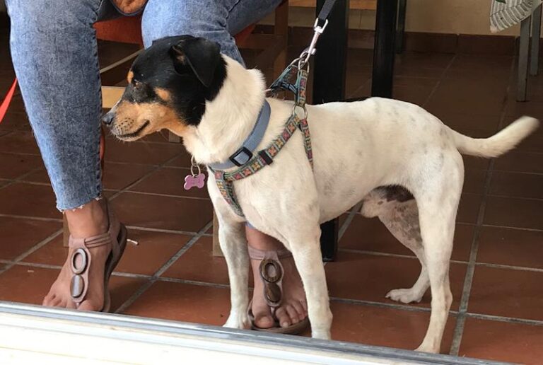 multimedia-foto60475-47-1