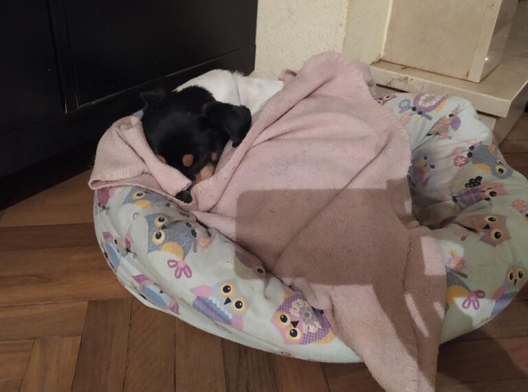 multimedia-foto60477-48-1