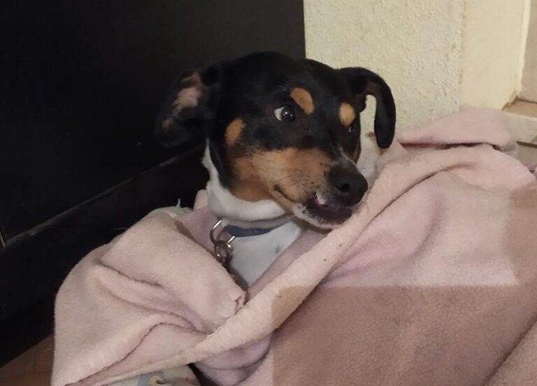 multimedia-foto60478-48-1