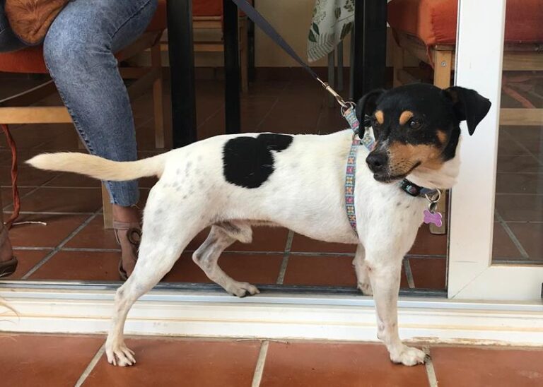 multimedia-foto60479-48-1