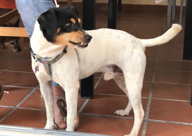 multimedia-foto60480-48-1