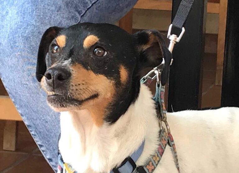 multimedia-foto60481-48-1