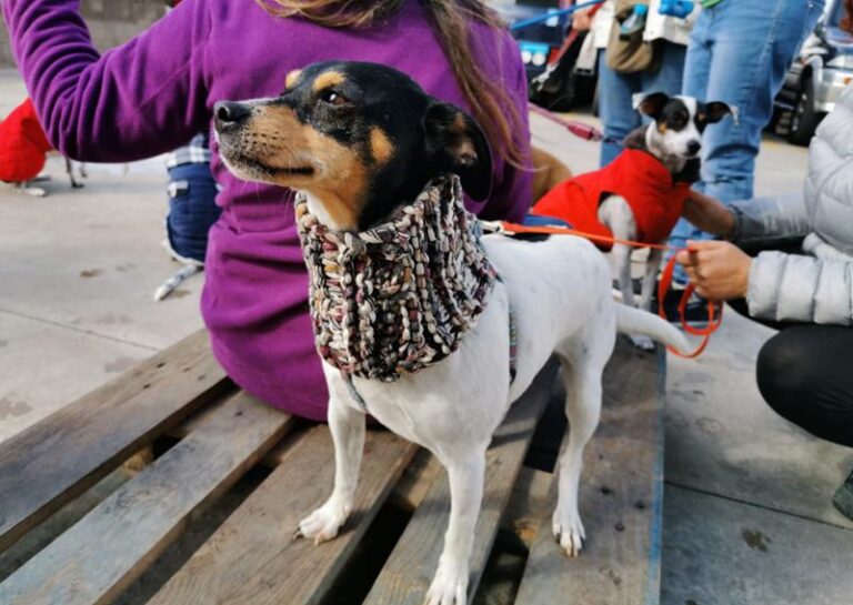 multimedia-foto60523-42-1