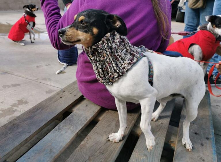 multimedia-foto60524-42-1