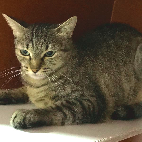 multimedia-foto60559-438-1