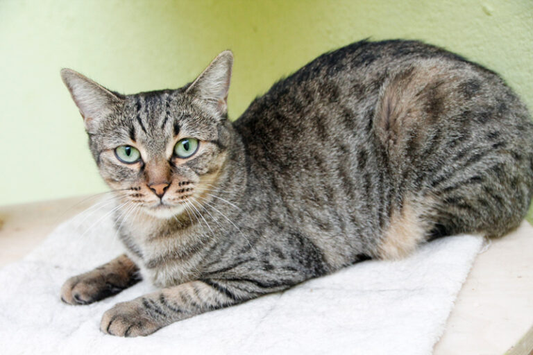 multimedia-foto60584-901-1