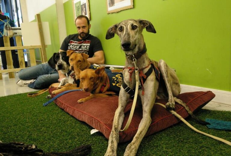 multimedia-foto60606-300-1