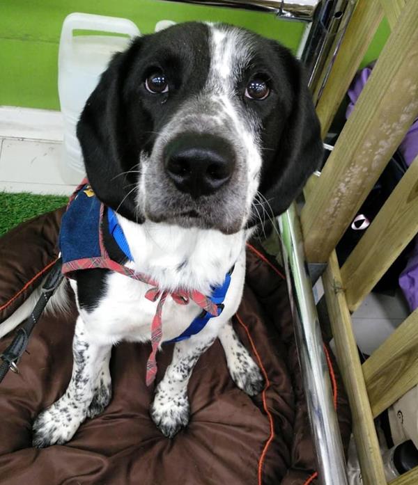 multimedia-foto60611-134-1