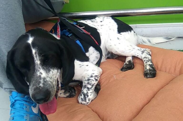 multimedia-foto60612-135-1