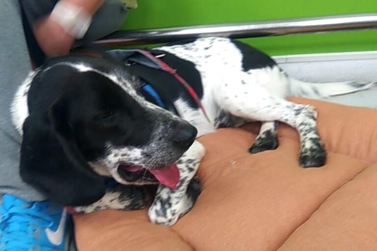 multimedia-foto60613-135-1