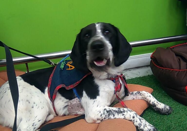 multimedia-foto60614-135-1