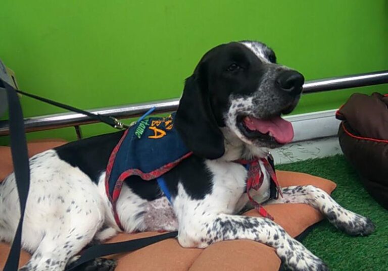 multimedia-foto60615-135-1