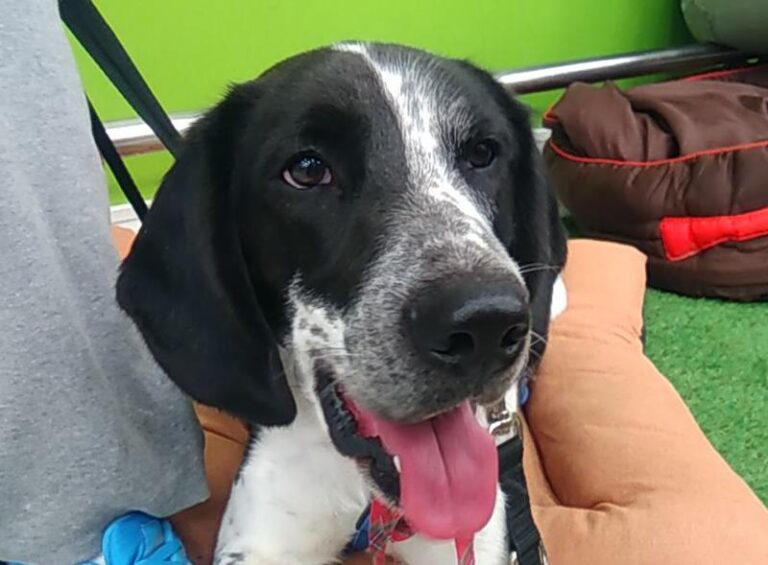 multimedia-foto60616-135-1