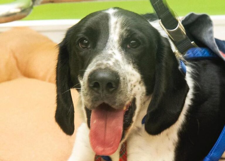 multimedia-foto60618-136-1