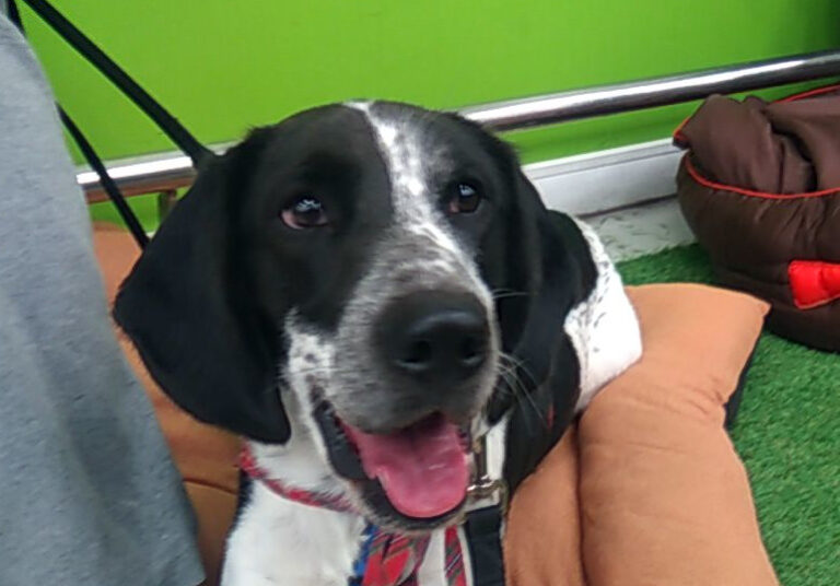 multimedia-foto60619-136-1