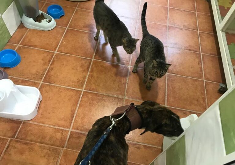 multimedia-foto60635-73-1