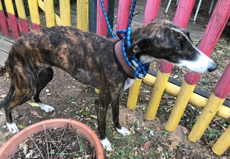 multimedia-foto60638-73-1