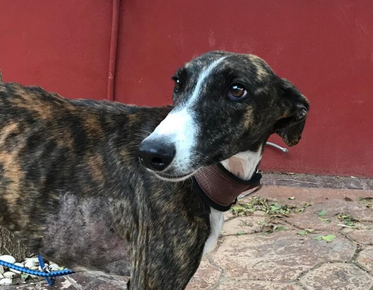 multimedia-foto60644-74-1