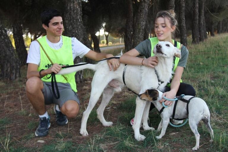 multimedia-foto60651-753-1