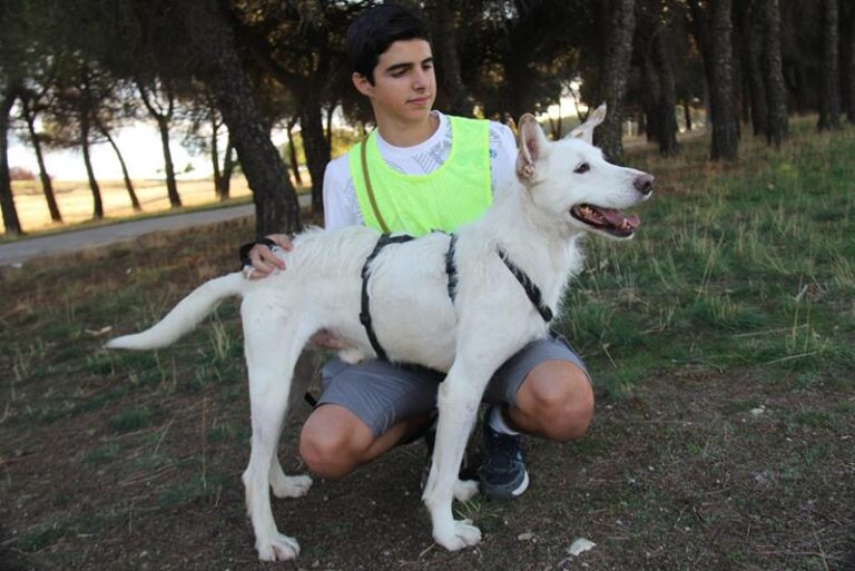 multimedia-foto60652-754-1