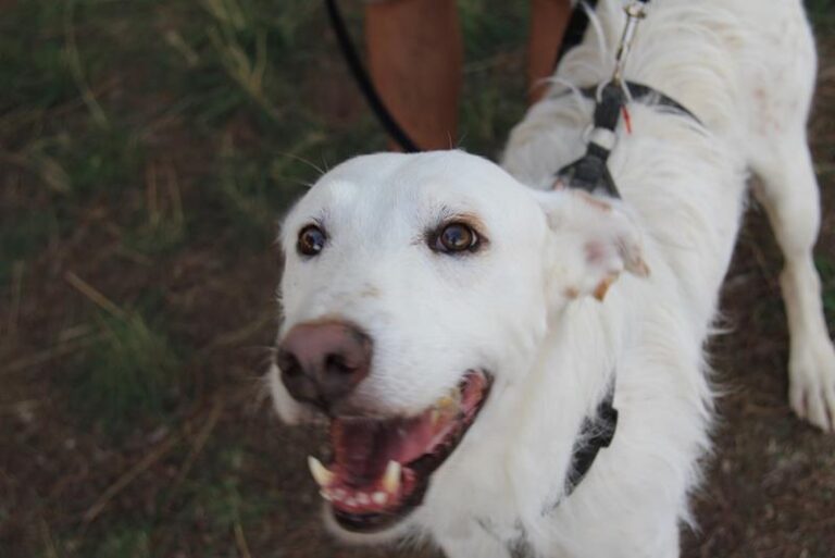 multimedia-foto60653-754-1