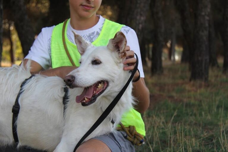 multimedia-foto60654-754-1