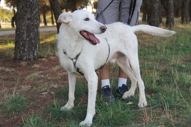 multimedia-foto60656-754-1