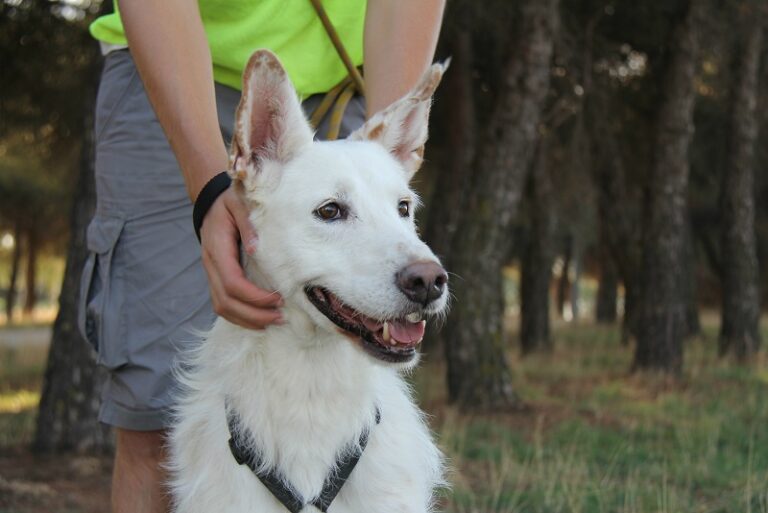 multimedia-foto60657-754-1