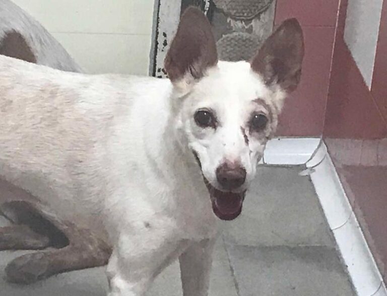 multimedia-foto60690-617-1