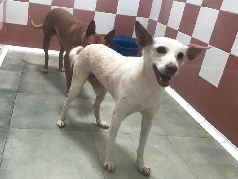 multimedia-foto60691-617-1