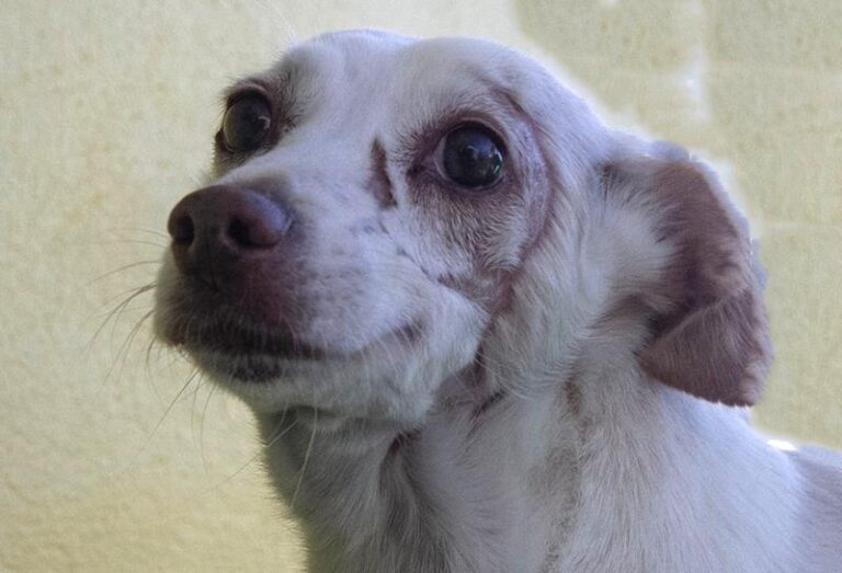 multimedia-foto60694-618-1