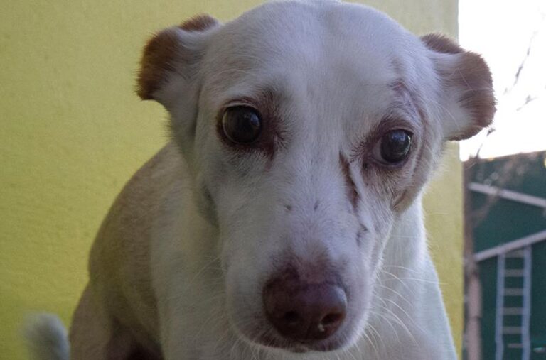 multimedia-foto60695-618-1