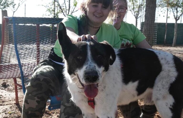 multimedia-foto60697-451-3