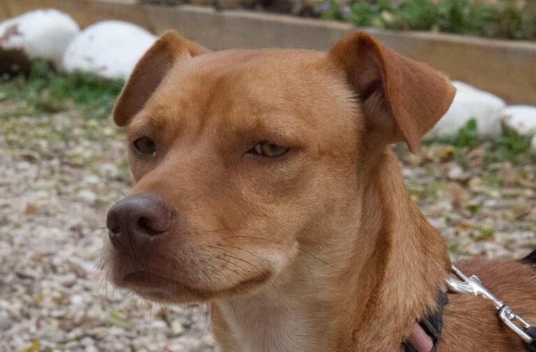 multimedia-foto60698-598-1