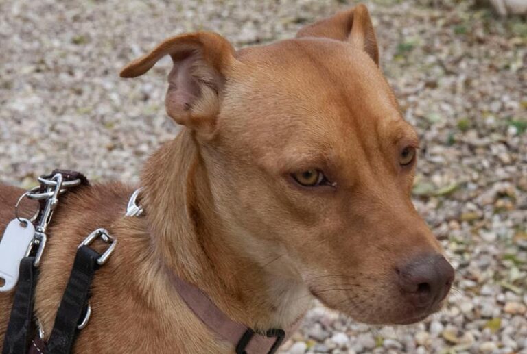 multimedia-foto60699-598-1