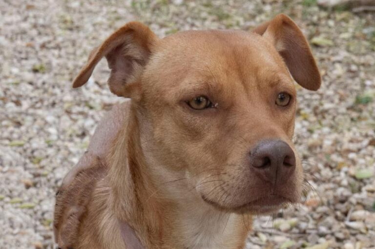 multimedia-foto60700-598-1